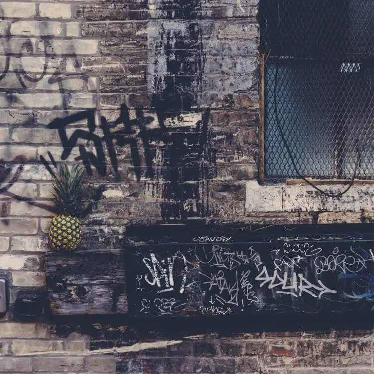 Why Urban Prepper