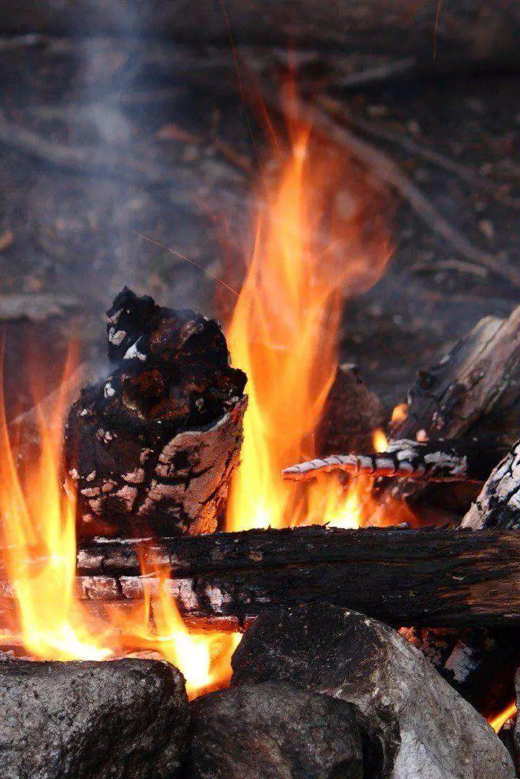20 Homestead Survival Tips and Tricks