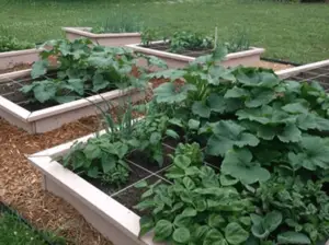 Build a 16 sqft raised garden bed for less than $20