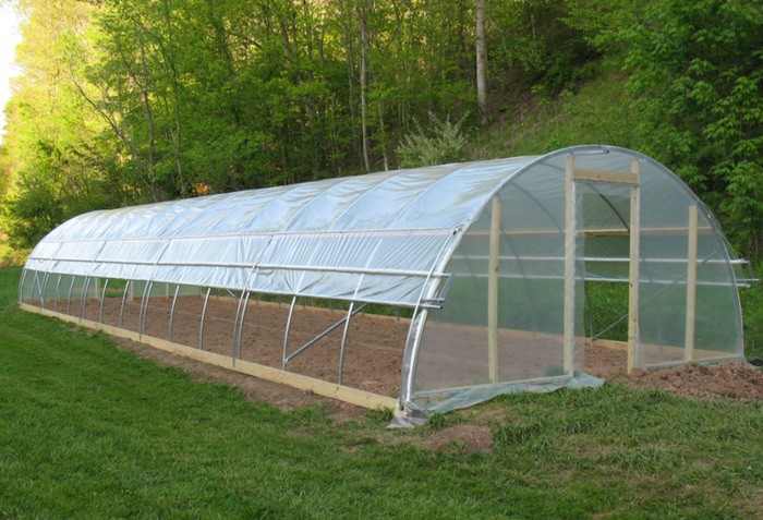 15 Free Greenhouse Plans Diy