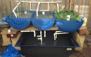 DIY Aquaponics Projects For Beginners