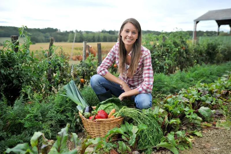 How To Register Your Homestead Farm As A Business