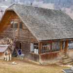 The history of homesteading - all you need to know