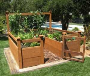 Raised Bed Vegetable Garden