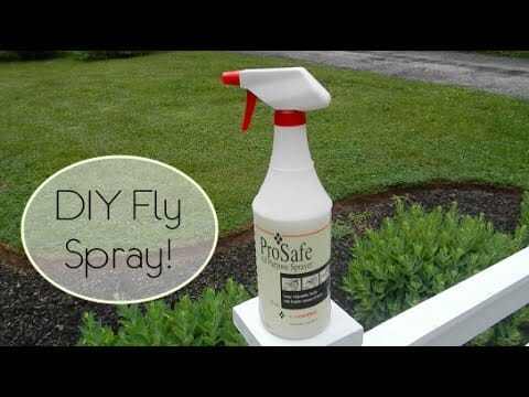 10 Ingenious DIY Mosquito and Fly Traps