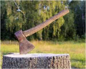 Best Survival and Bushcraft Axe