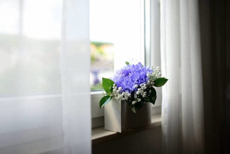 What To Put On Windows To Keep Heat Out? [8 Ideas] Homestead & Prepper