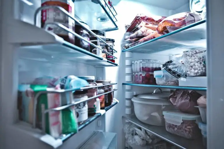 Why Did My Ice Maker Stop Working? Homestead & Prepper