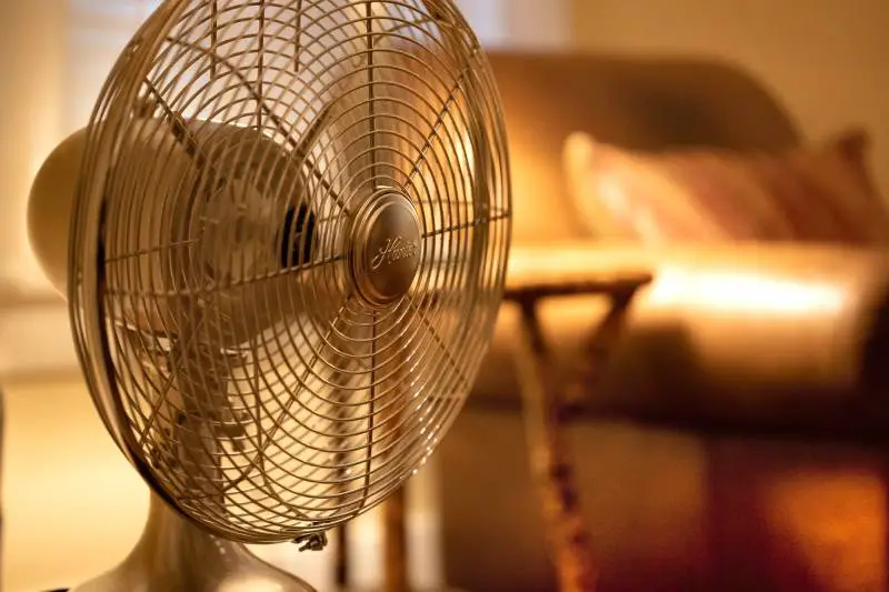 Why Is My Standing Fan Making Noise? [Top Reasons] Homestead & Prepper