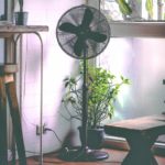 Why Is My Standing Fan Making Noise? [Top Reasons]