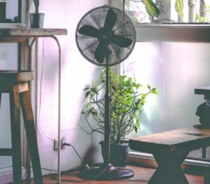 Why Is My Standing Fan Making Noise? [Top Reasons] - Homestead & Prepper