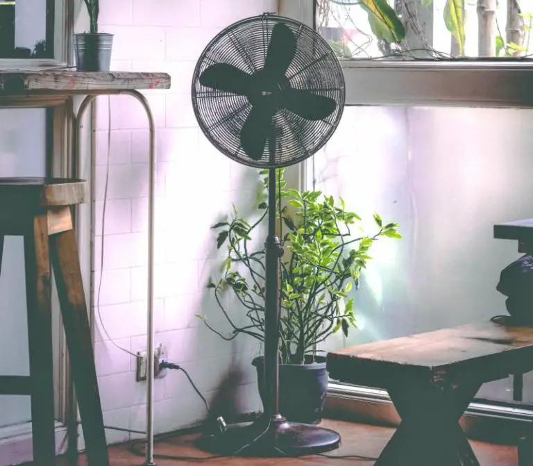 Why Is My Standing Fan Making Noise? [Top Reasons] Homestead & Prepper