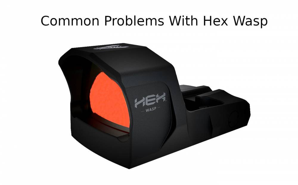 Common Problems With Hex Wasp