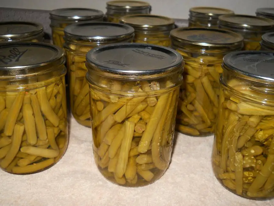 Canning green beans with a water bath