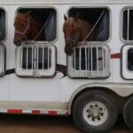 DIY Horse Trailer Dividers Project