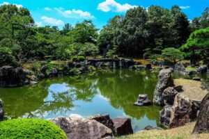 Spring Fed Pond – All You Need To Know (Maintenance Guide)