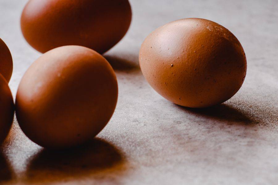 Welsummer Eggs vs Maran Eggs (Full Comparison) Introduction