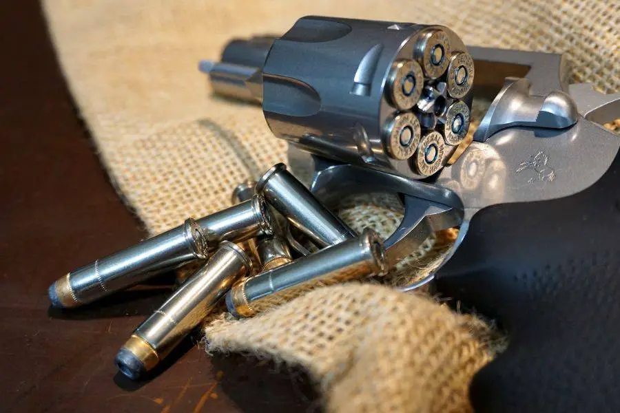 Can .357 Kill a Bear? Let
