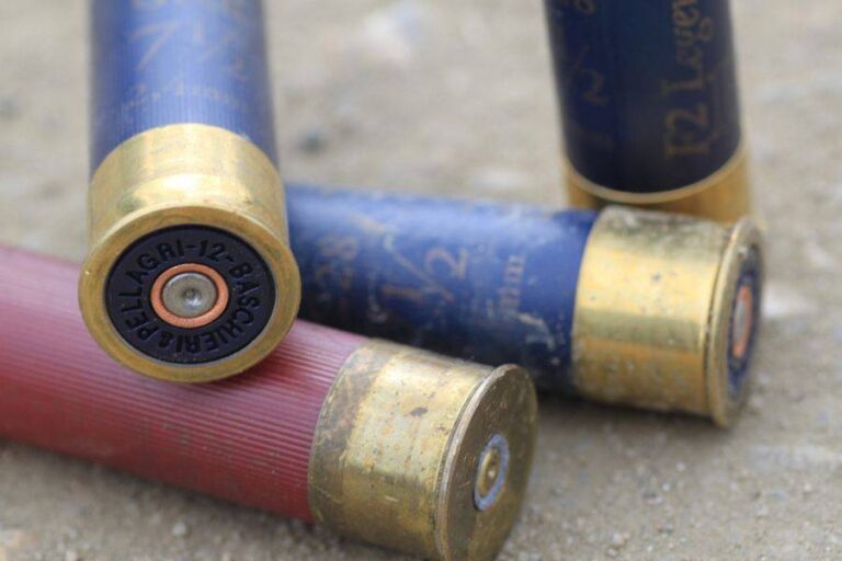 Low Brass vs. High Brass Shotgun Shells Homestead & Prepper