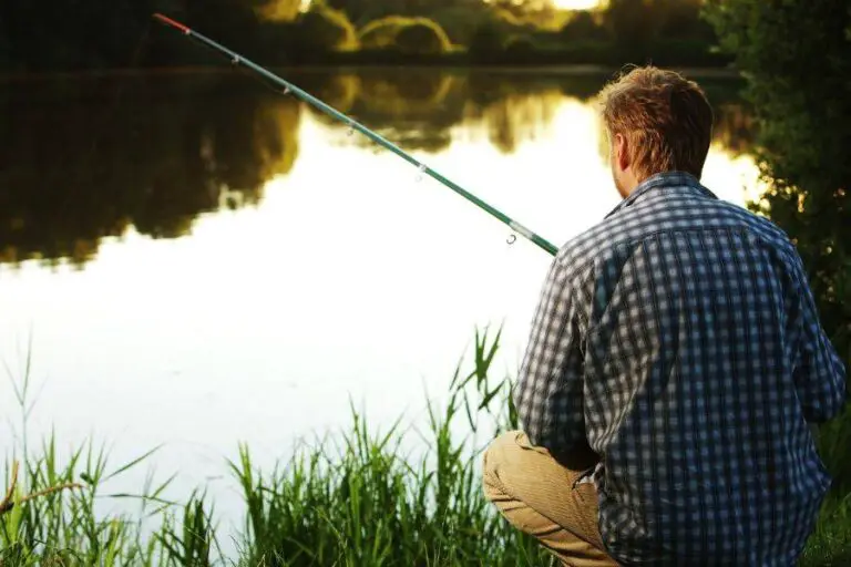 Medium vs Medium Heavy Rod Homestead & Prepper