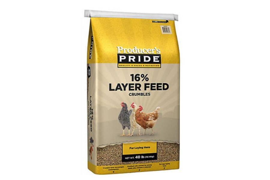 Tractor Supply Chicken Feed Problems Explained